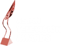 Asian Television Awards